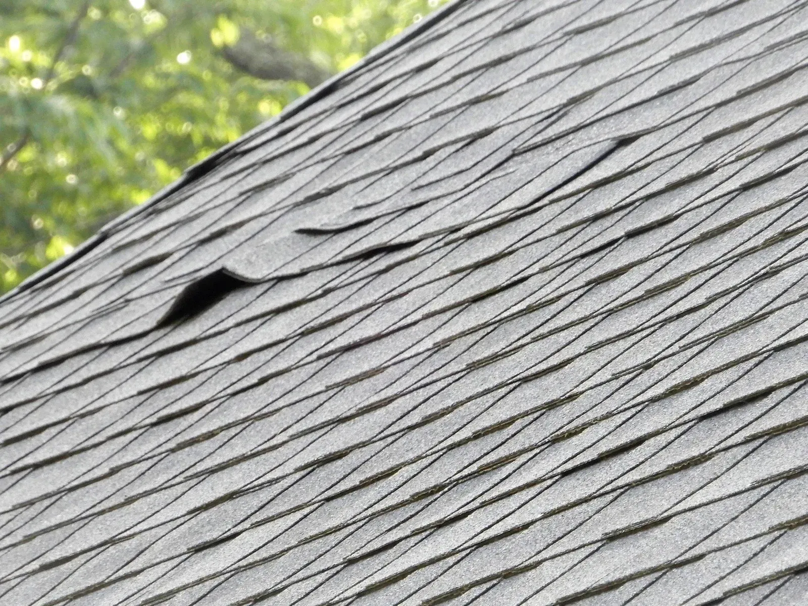 Close-up of gray shingled roof with diagonal overlapping tiles and blurred green trees in the background