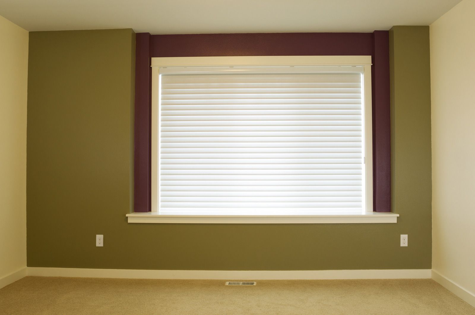 Empty room with olive walls, beige carpet, and a large window with white blinds