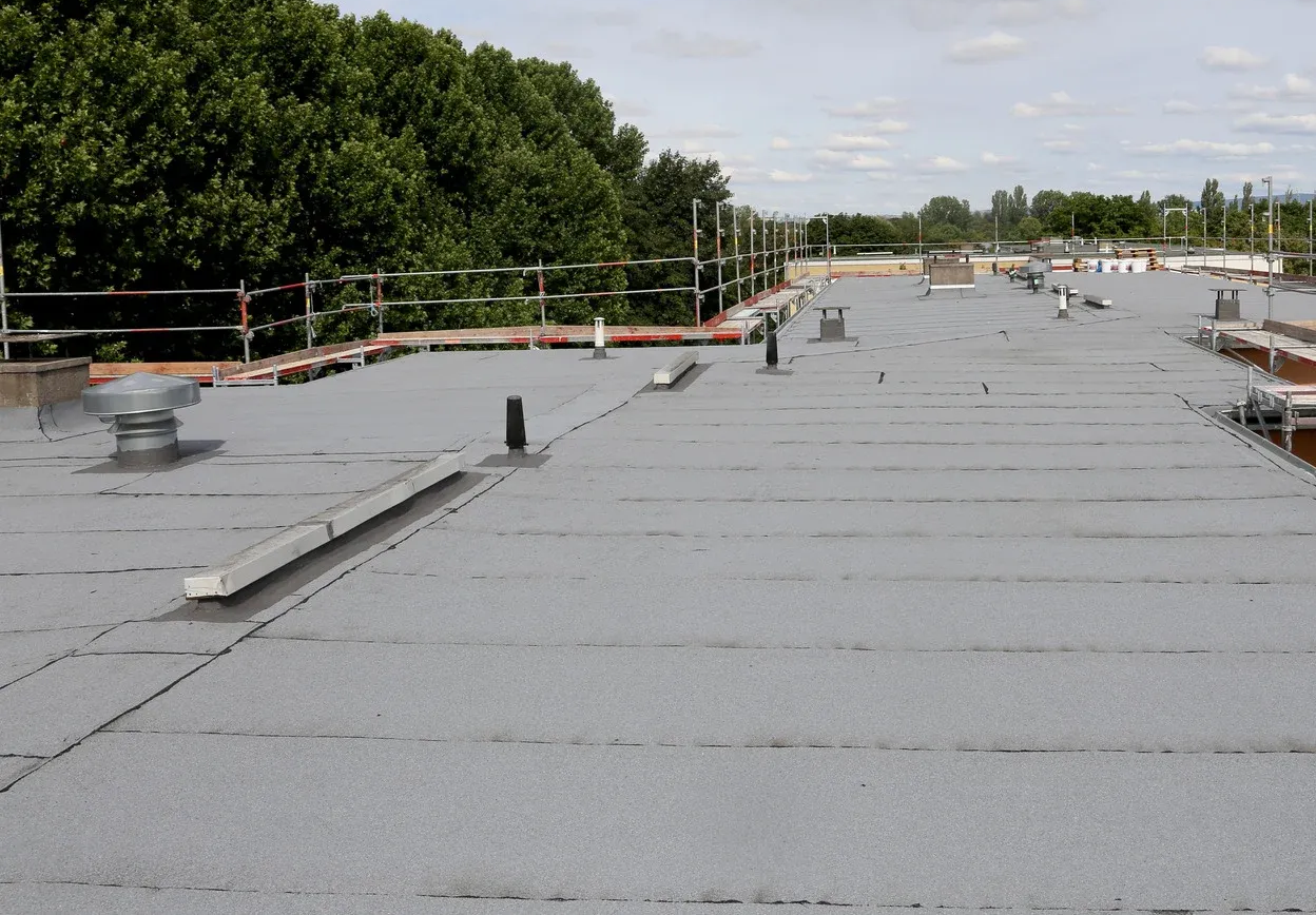 Flat gray rooftop with vents, low parapet walls, and trees in the background under an overcast sky