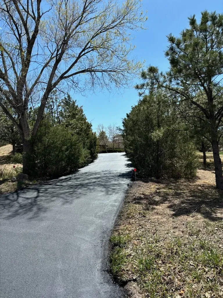 A driveway surrounded by trees and grass on a sunny day.