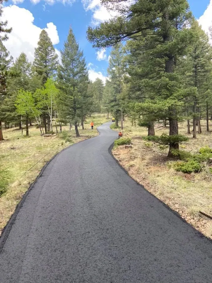 asphalt pines 2