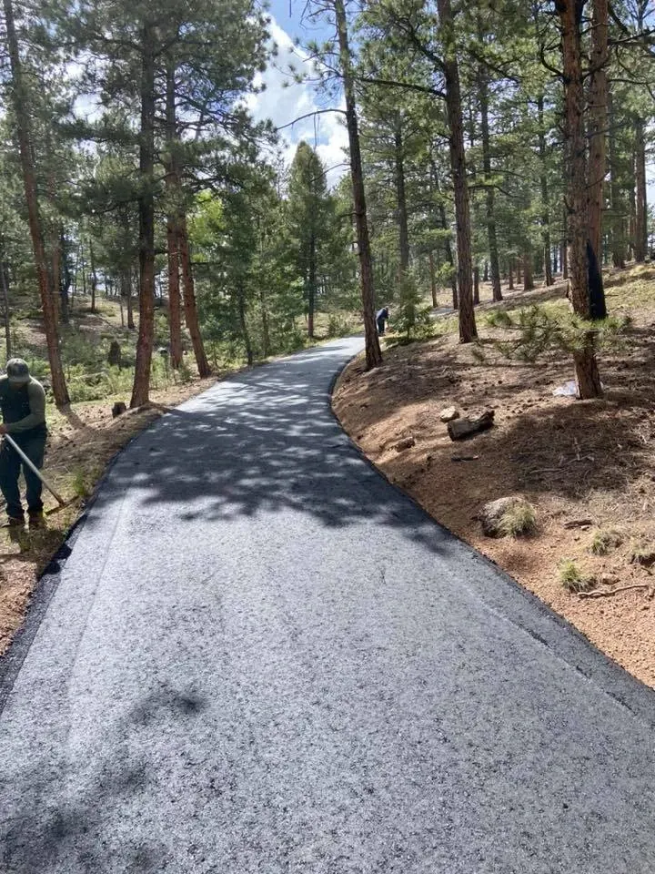 asphalt pines 4