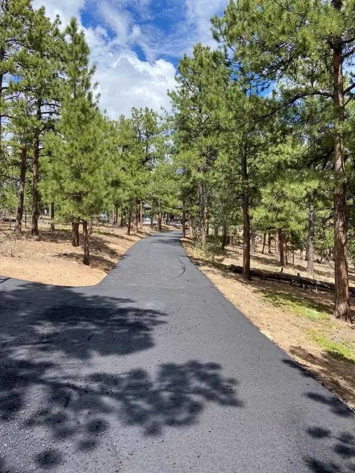 asphalt pines 1