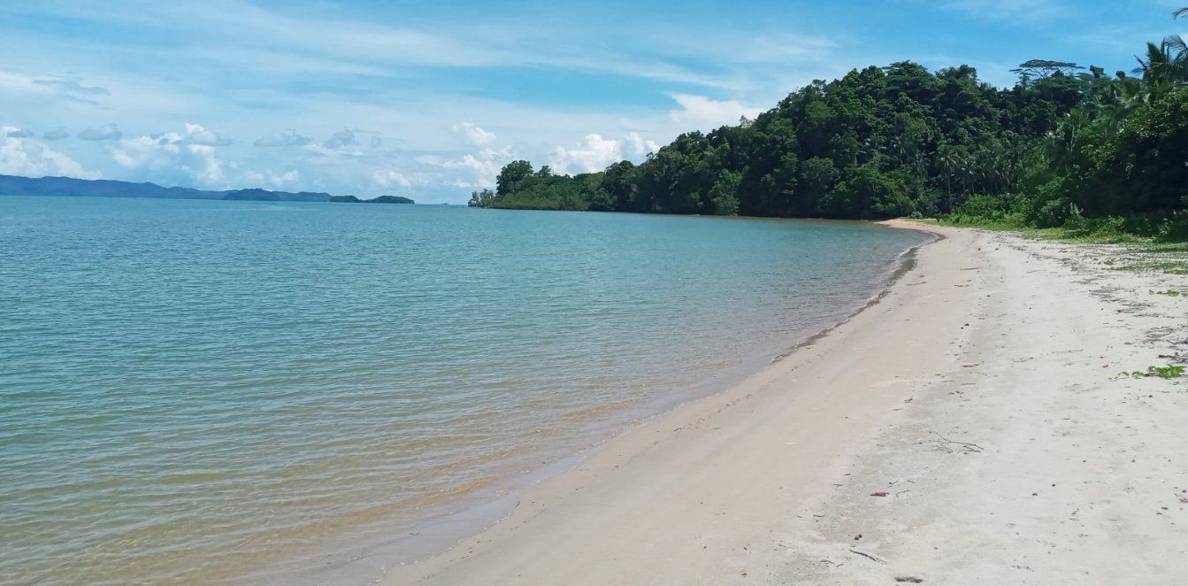 A sandy beach next to a body of water on a sunny day.