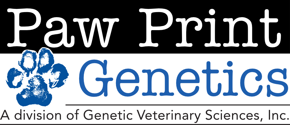 Paw Print Logo