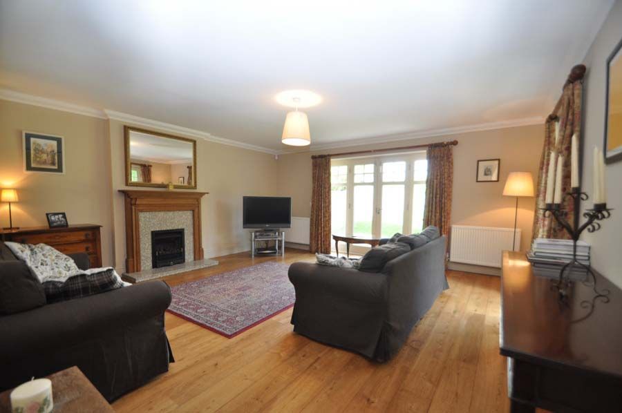 Living room with couches, fireplace, wooden floor, and large window.