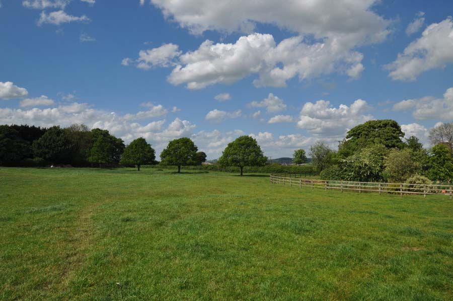 Green field with trees and a wooden fence under a blue sky with clouds.