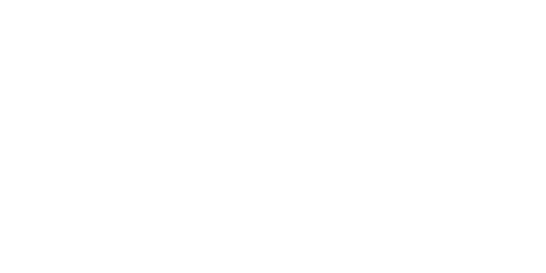 ExpressNet logo