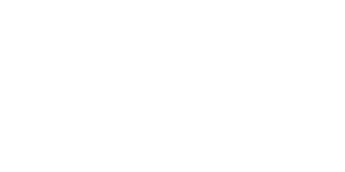 Fluyez logo