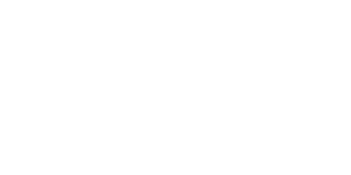 Intelica logo