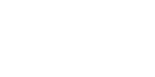 Niubiz logo