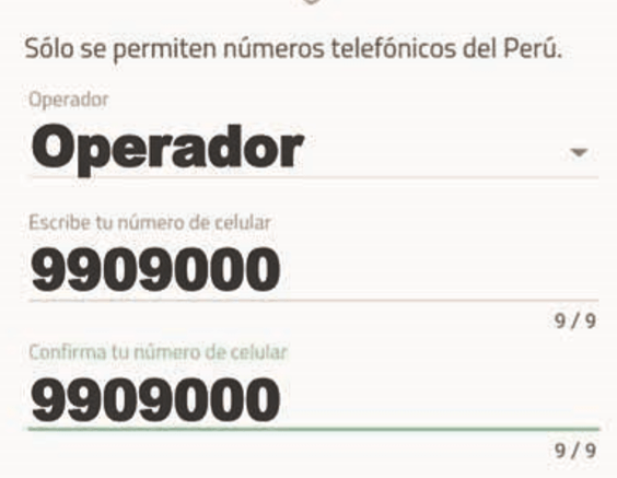 A screen that says solo se permiten números telefonicos del peru