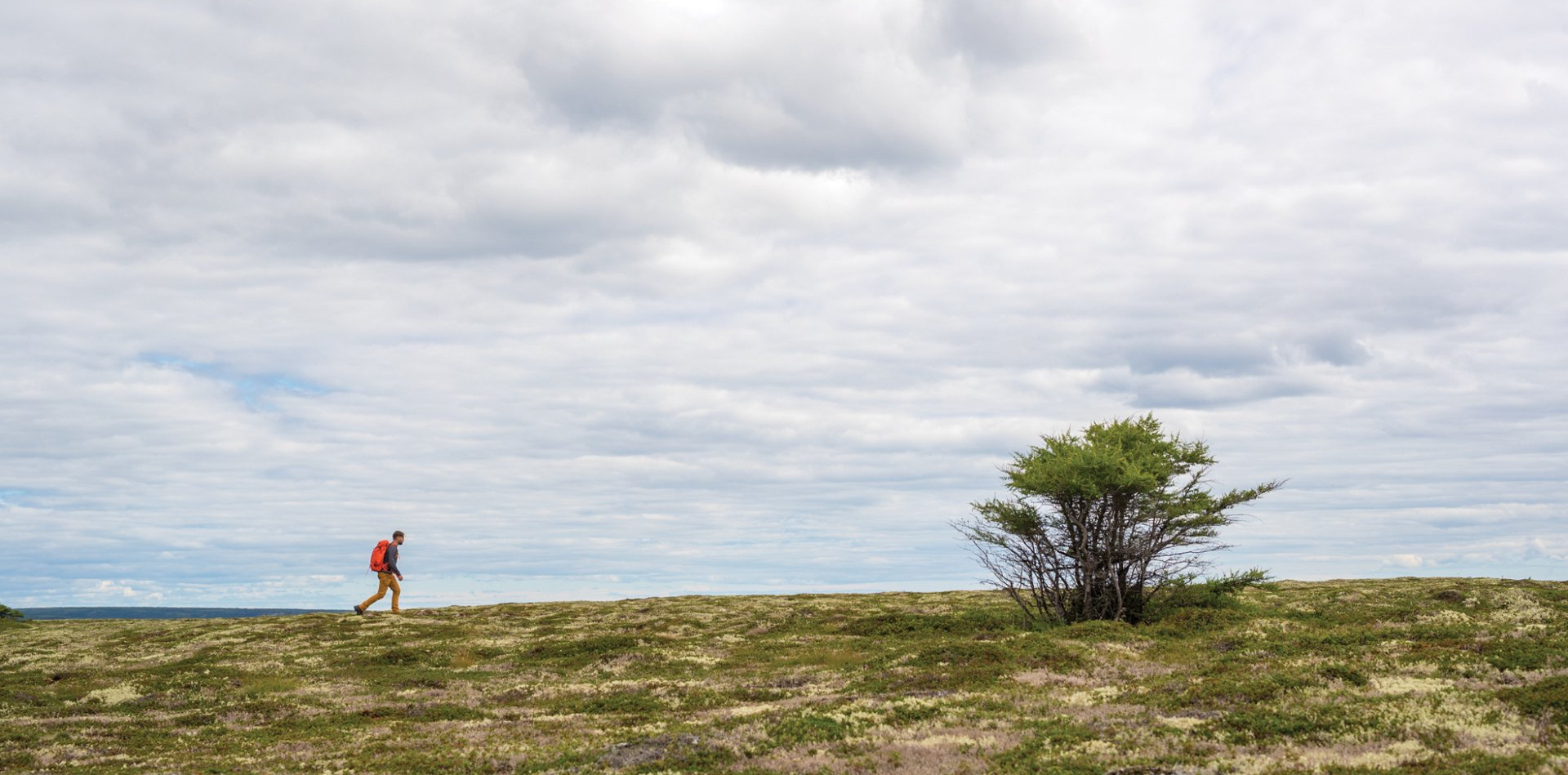 Un randonneur marche dans la lande à Forteau, au Labrador