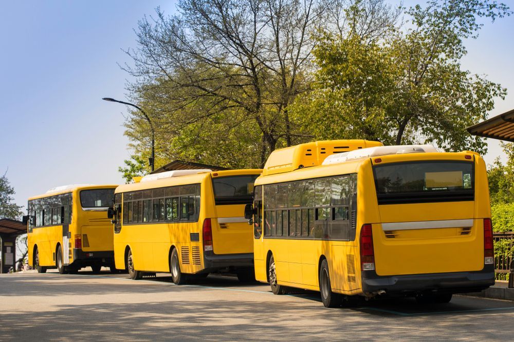 A Row of Yellow School Buses Parked in a Parking Lot — Truck Training and Assessments In Umina Beach, NSW