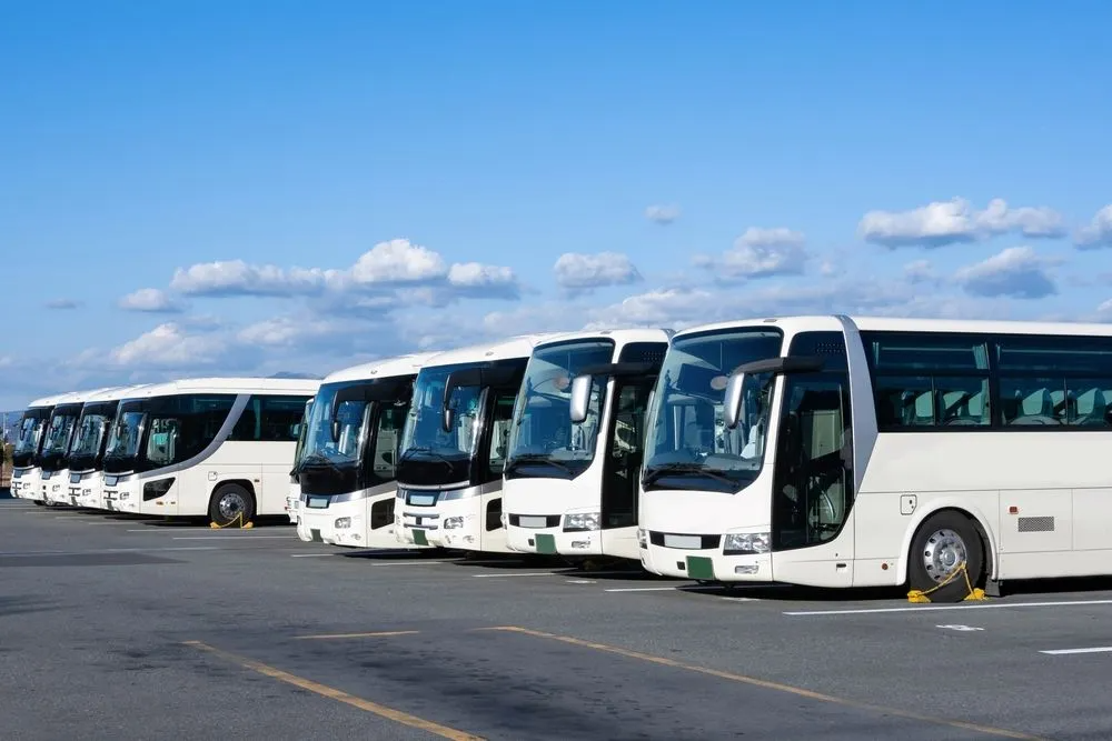 A row of white buses are parked in a parking lot — Truck Training and Assessments In Umina Beach, NSW