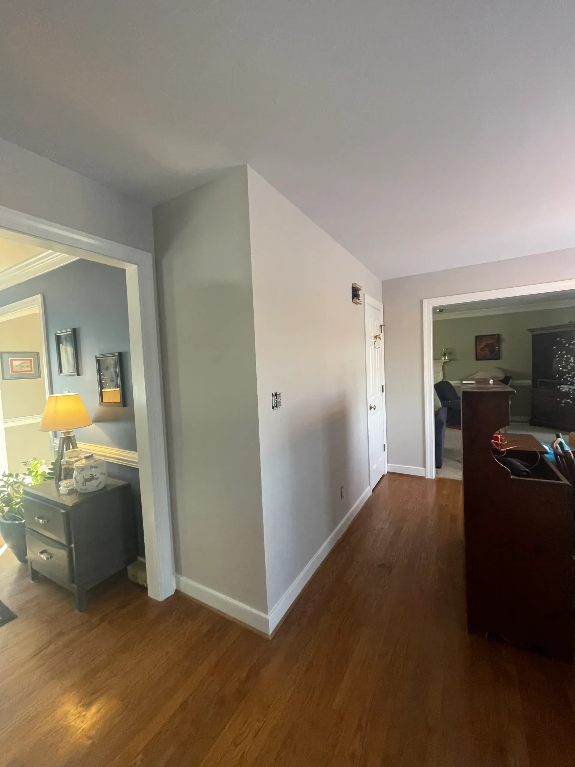 A living room with hardwood floors and a couch.