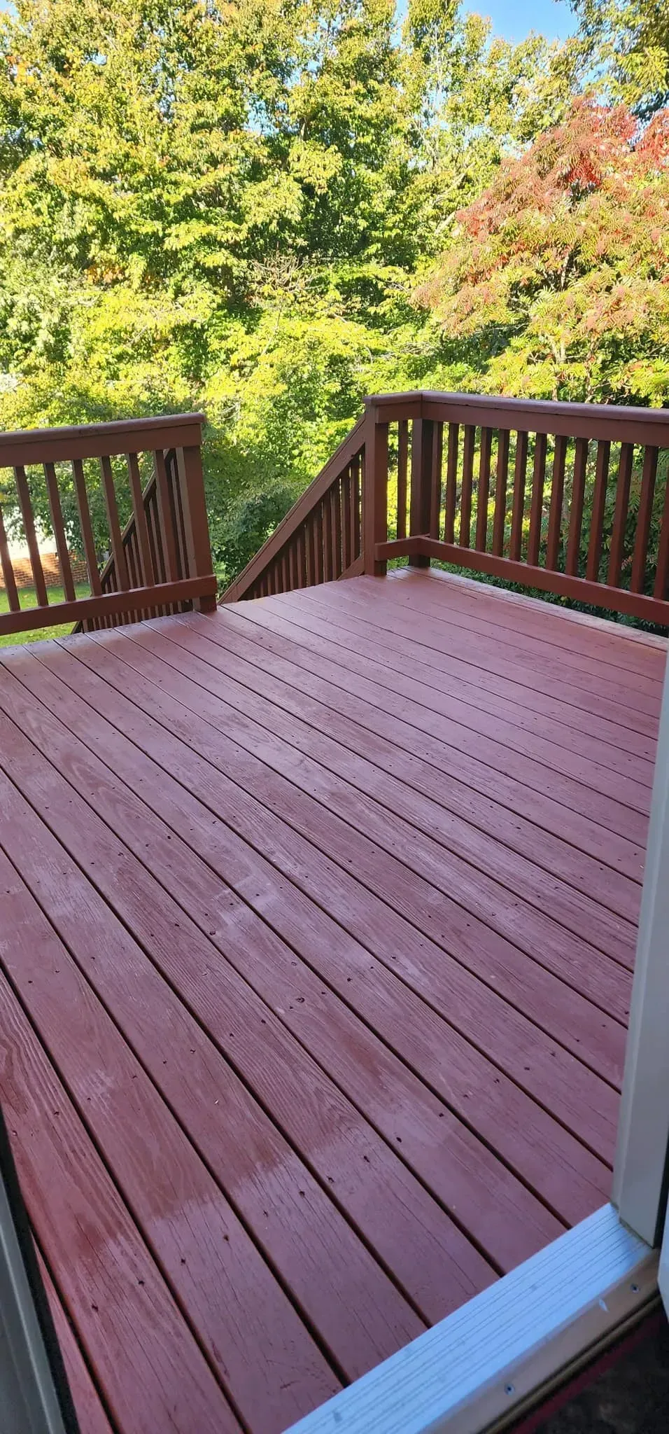 A red wooden deck with a white railing and trees in the background.
