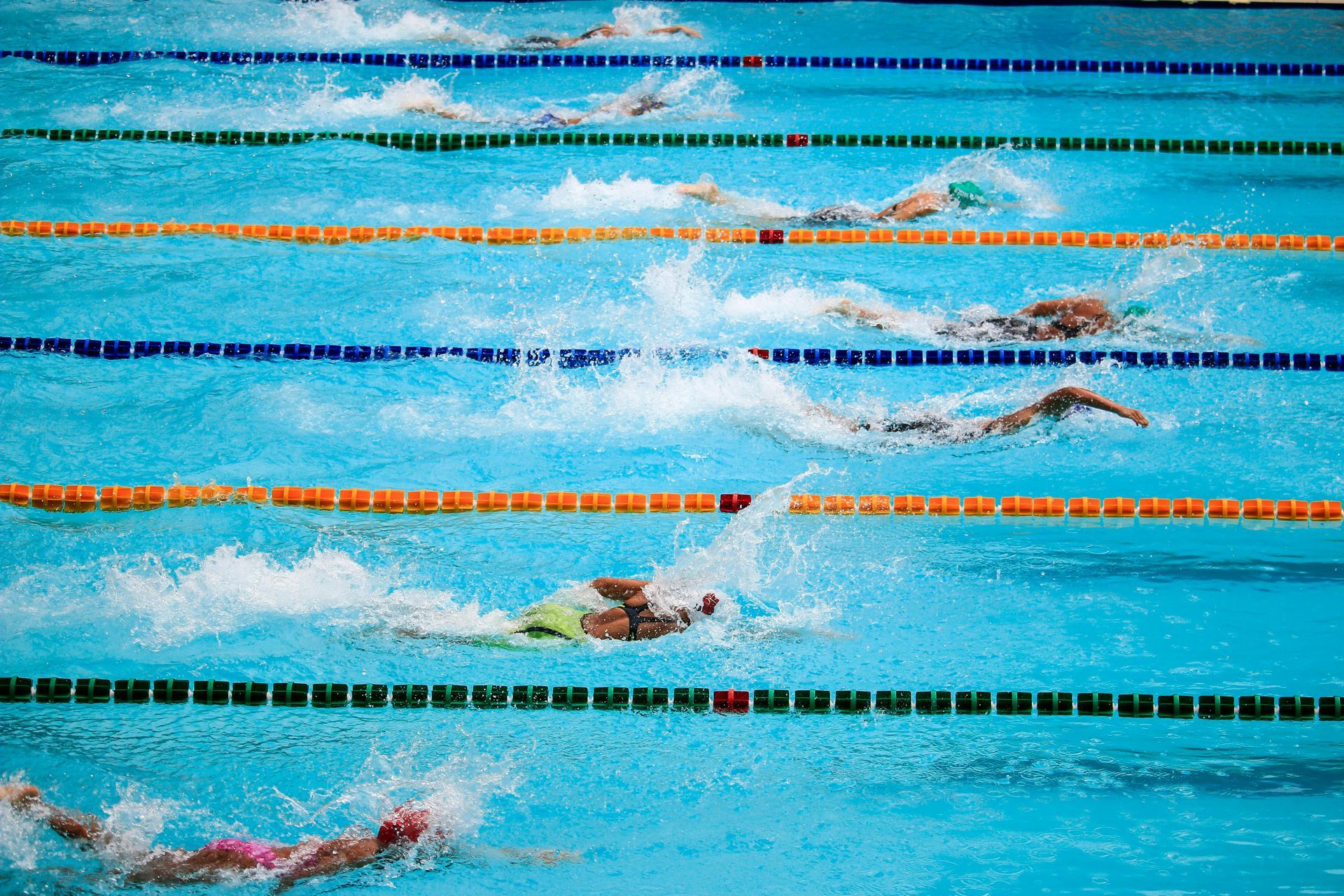 A group of people are swimming in a swimming pool.