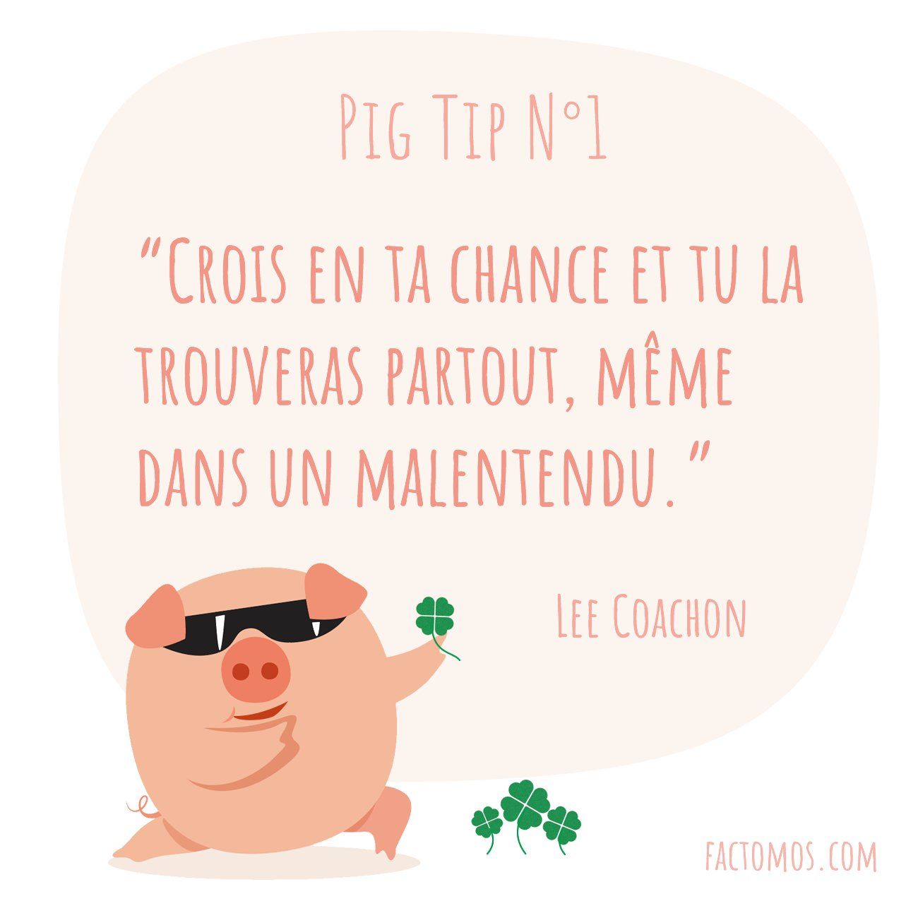 Pig Tip #1