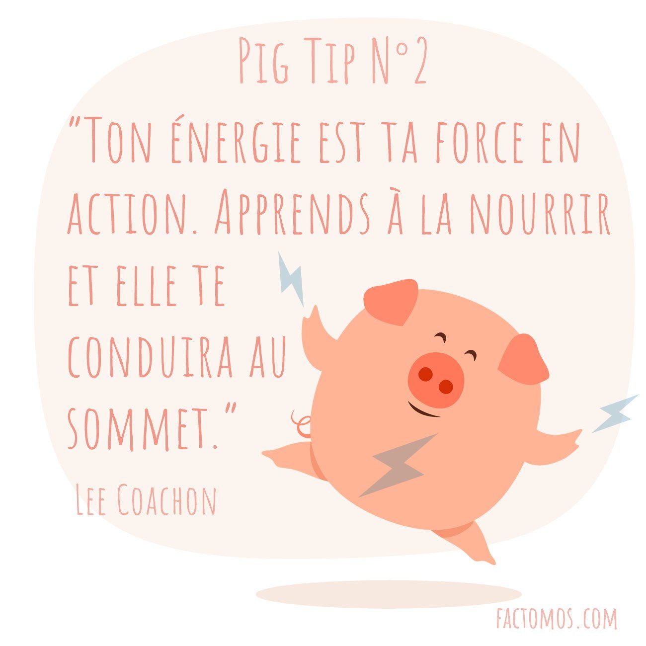 Pig Tip #2