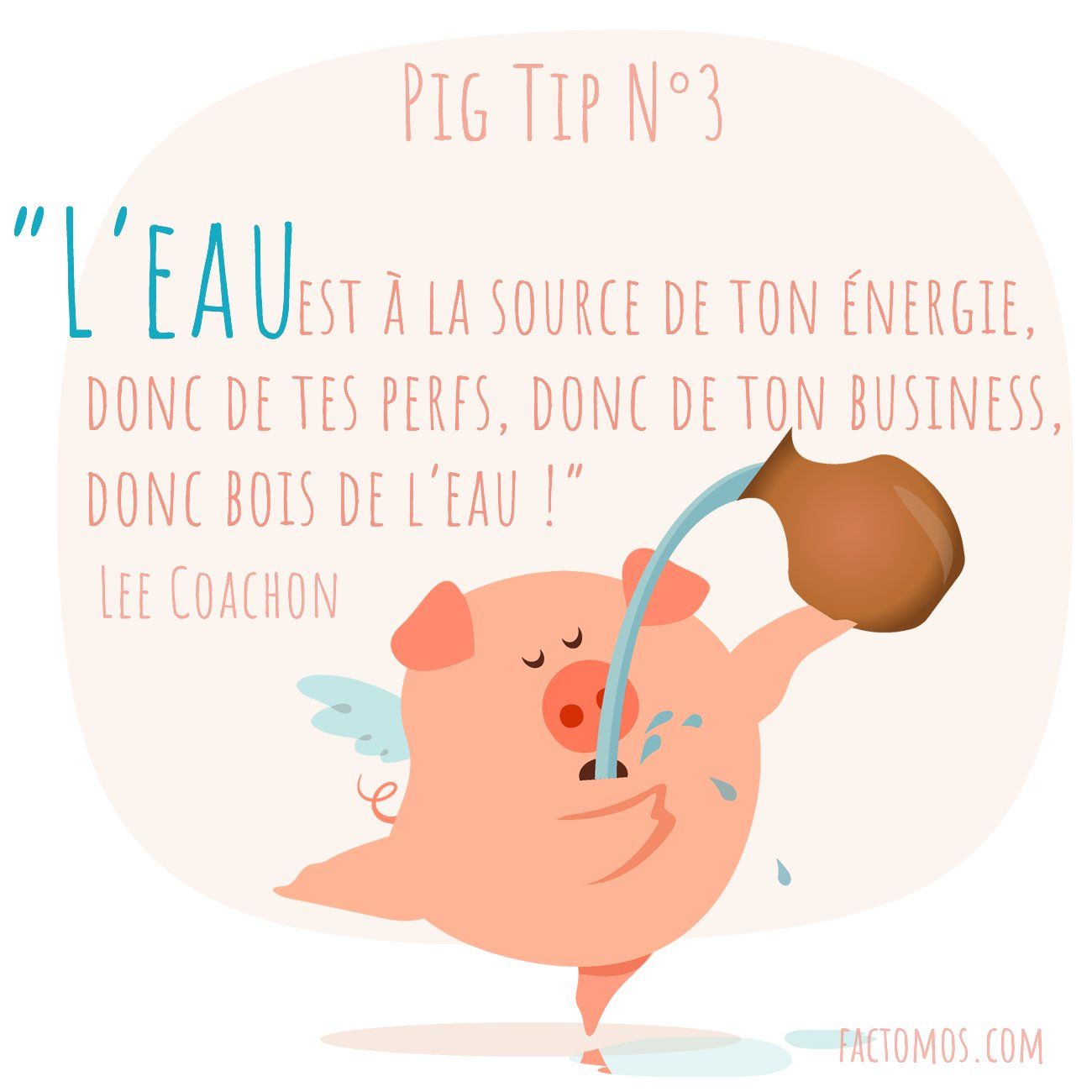 Pig Tip #3