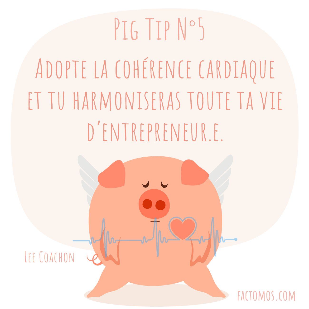 Pig Tip #5