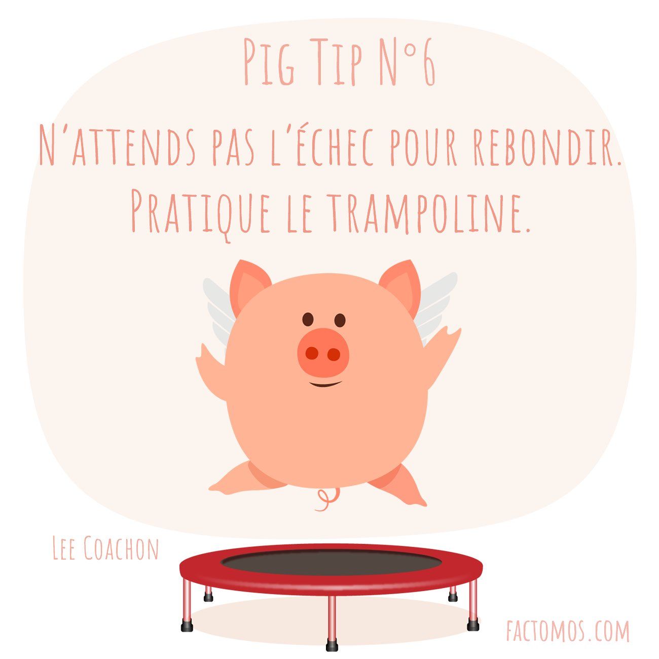Pig Tip #7