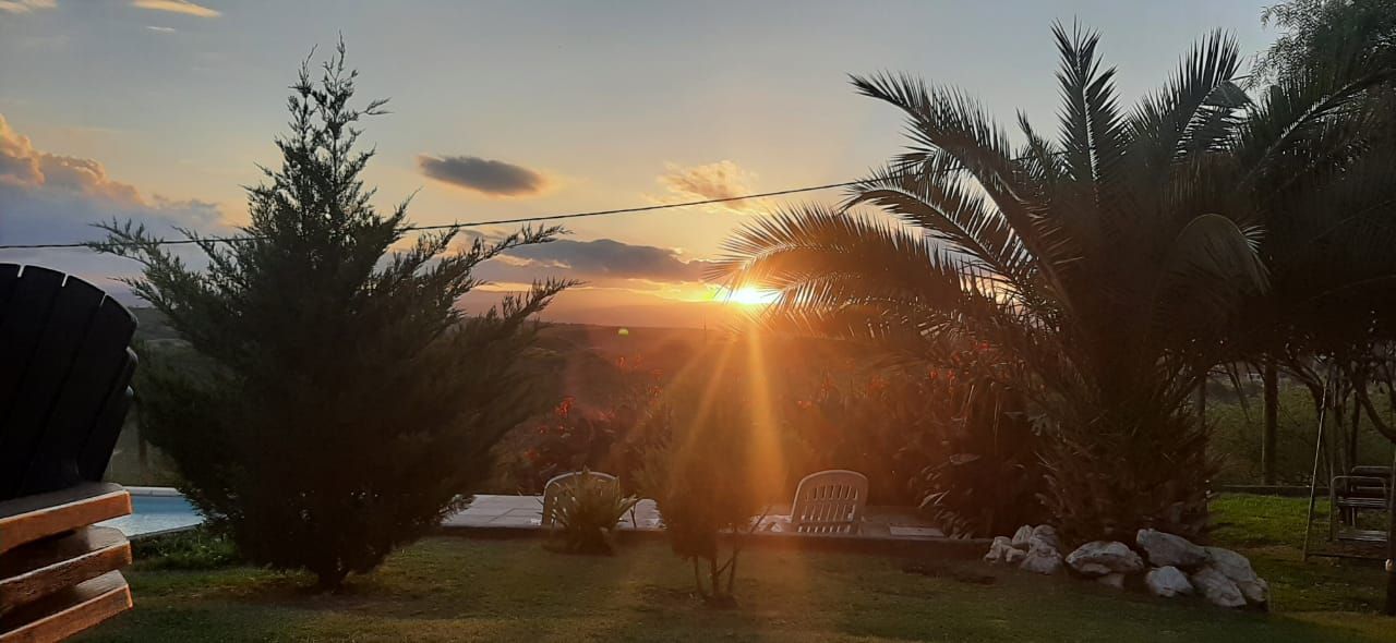 Puesta de sol a través de los árboles con brillantes rayos de sol.