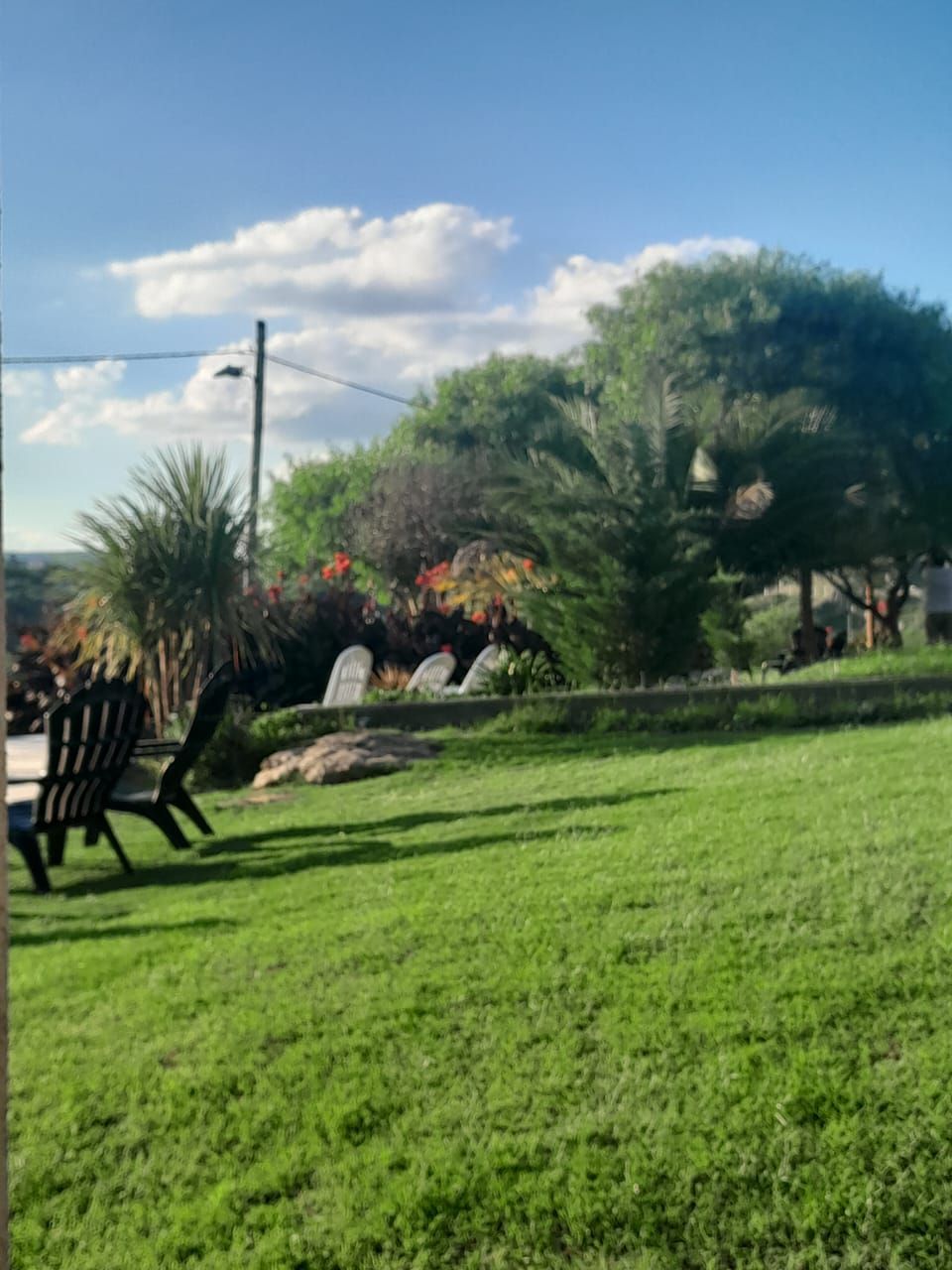Césped verde exuberante con árboles y algunas sillas bajo un cielo azul parcialmente nublado.