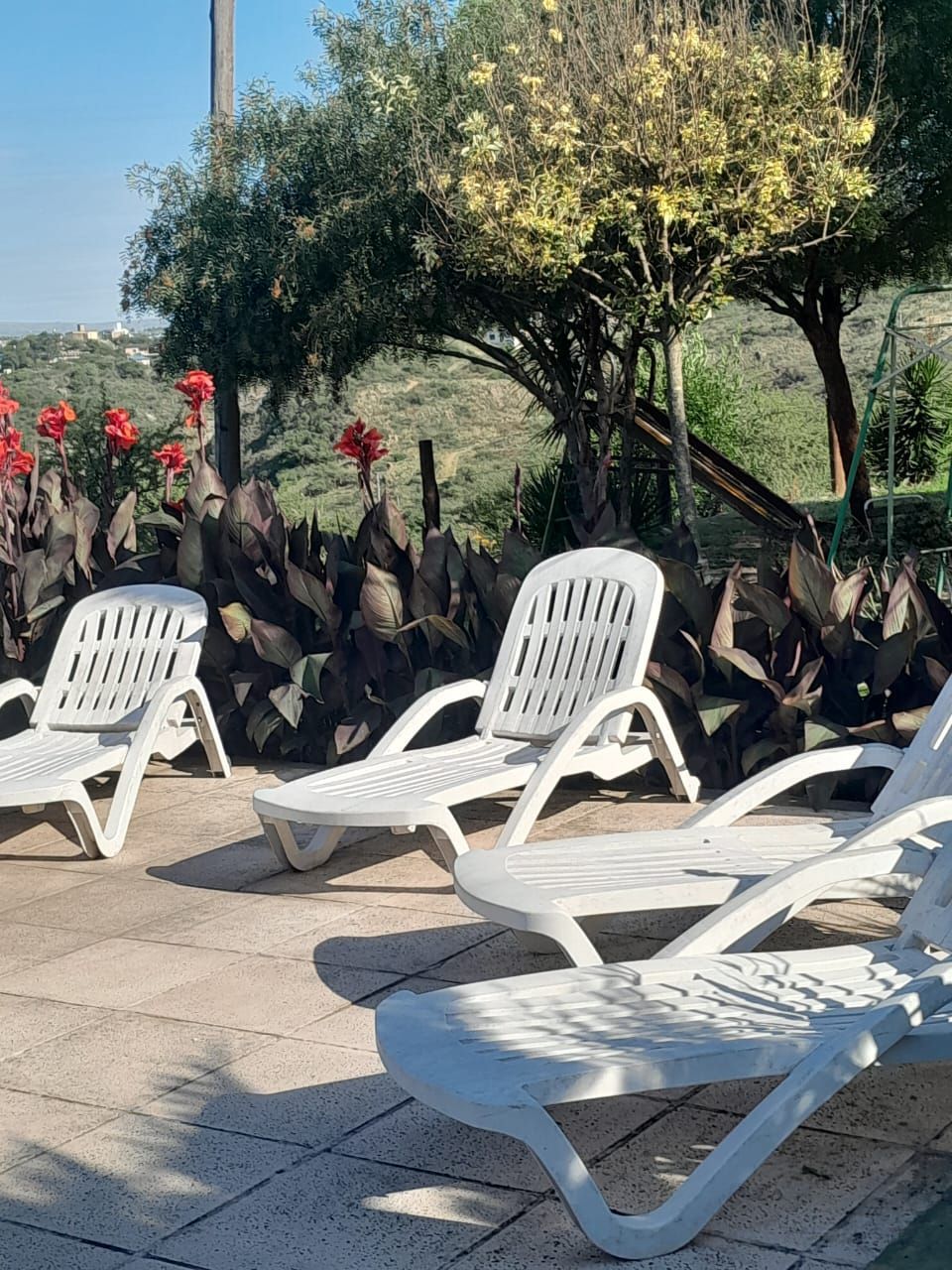 Sillones blancos en un patio cerca de flores y árboles rojos.