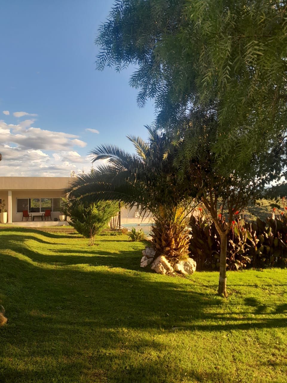 Césped verde con palmeras, otros árboles y un edificio bajo un cielo azul con nubes.