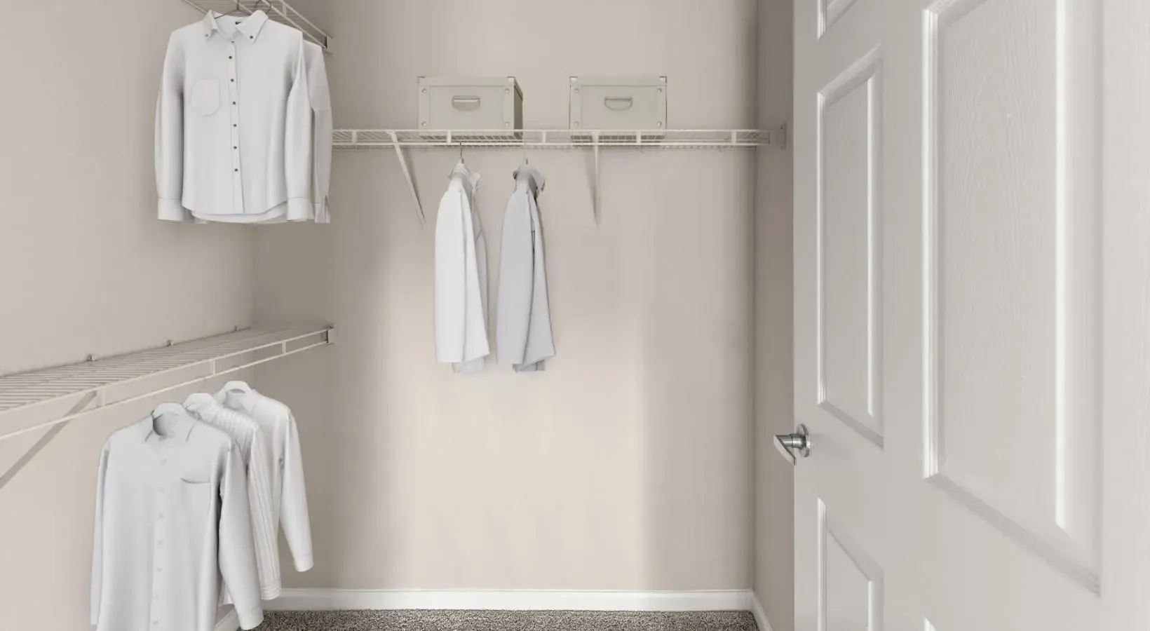 carpeted, walk-in closet