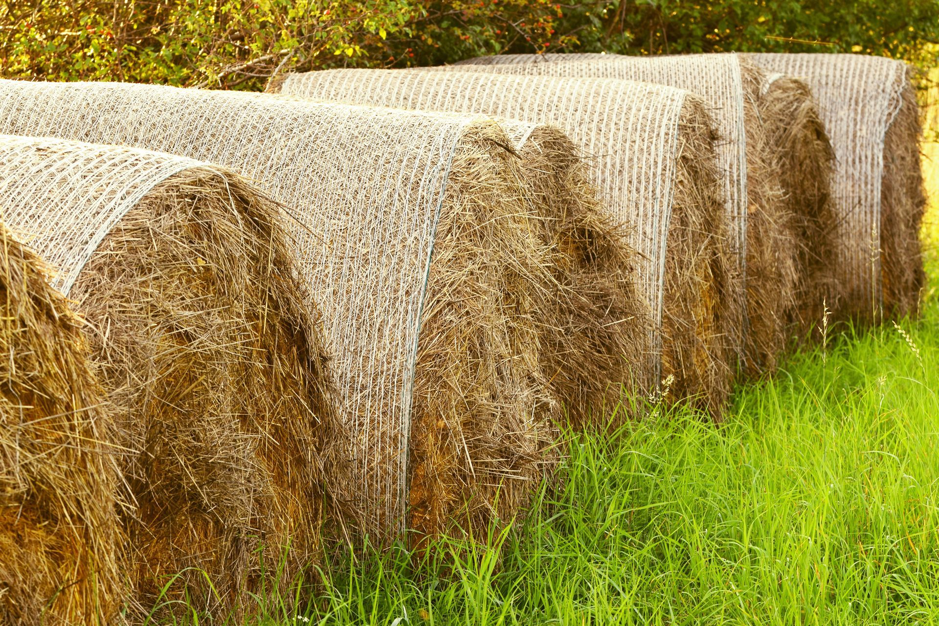 A row of hay bales sitting on top of a lush green field.