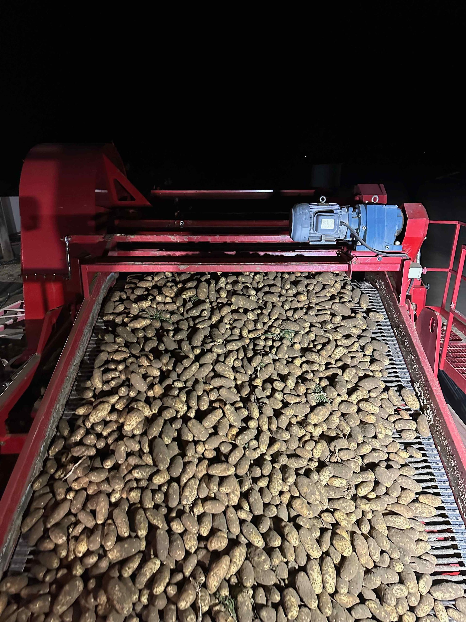 Best spud growers