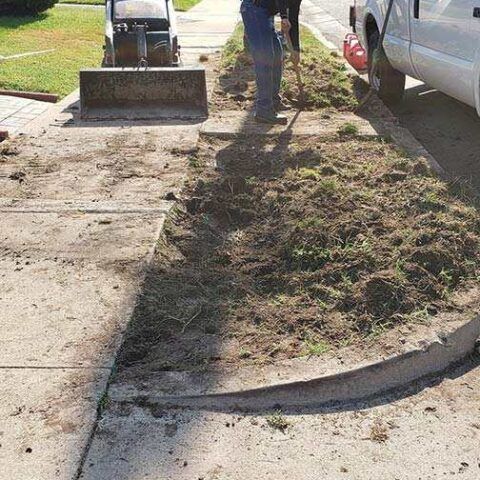 A man is standing next to a lawn mower on a sidewalk.