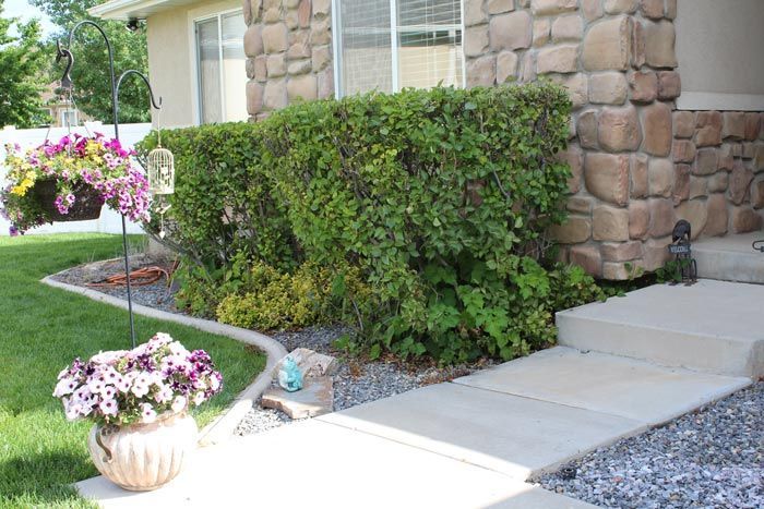 A house with a stone wall and a walkway with flowers in front of it.