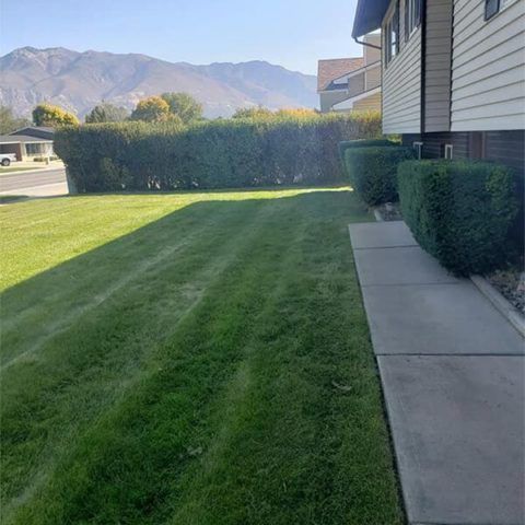 A lush green lawn next to a house with mountains in the background.