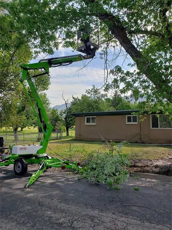 A green crane is cutting a tree in front of a house.