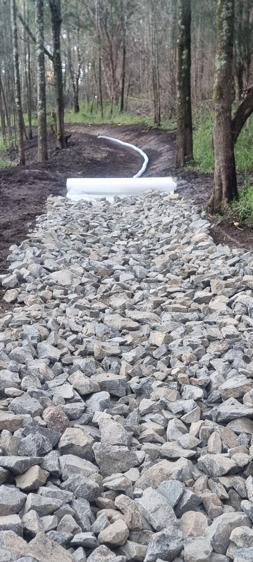 Gravel path with culvert in a forest, curving upward between trees.