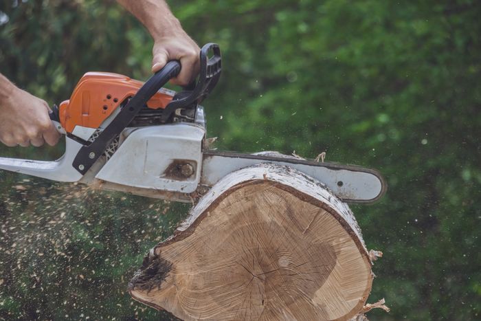 Chainsaw — Bend, OR — Bend Tree Service