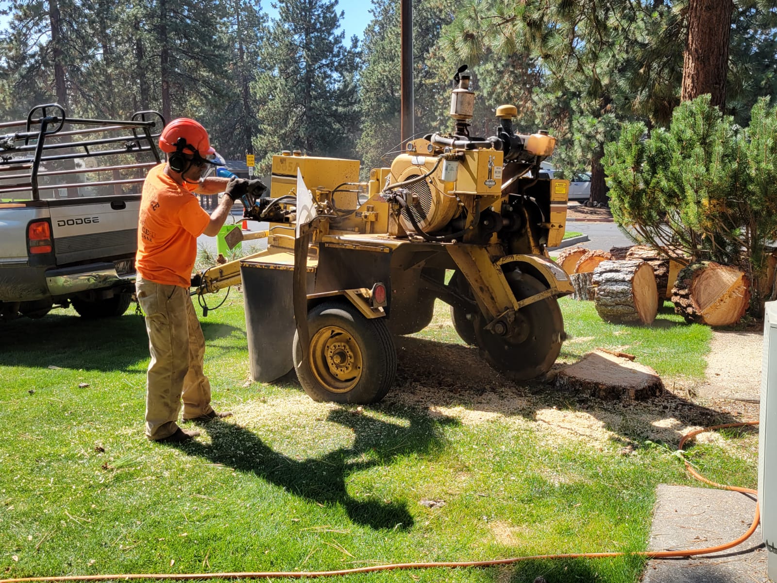 Safe Stump Removal — Bend, OR — Bend Tree Service