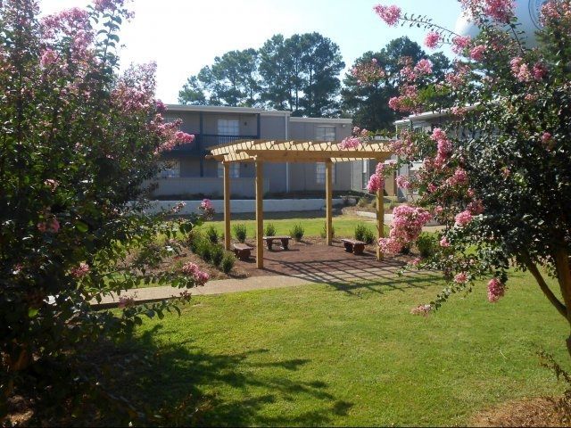 A pergola with pink flowers in front of a building