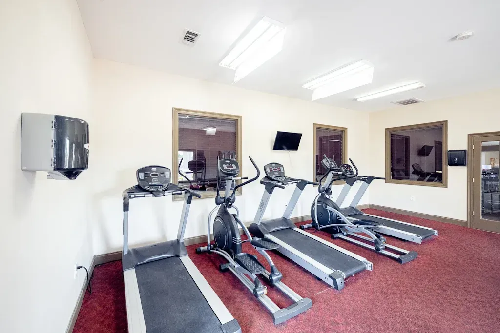 A gym with a lot of treadmills and ellipticals