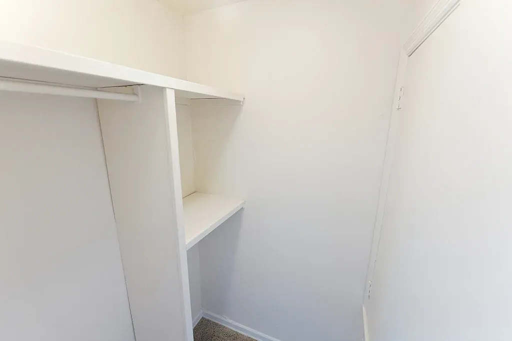 An empty walk in closet with white shelves and a carpeted floor.