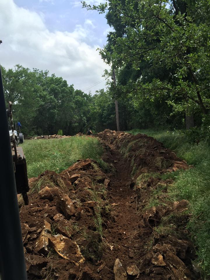 A dirt road going through a grassy field with trees in the background.