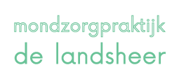 Mondzorgpraktijk De Landsheer Zwolle logo