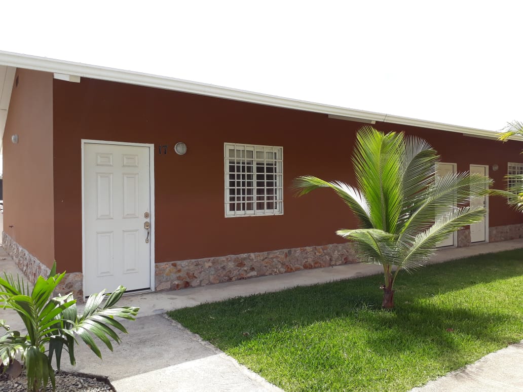 Una pequeña casa con una palmera delante de ella.