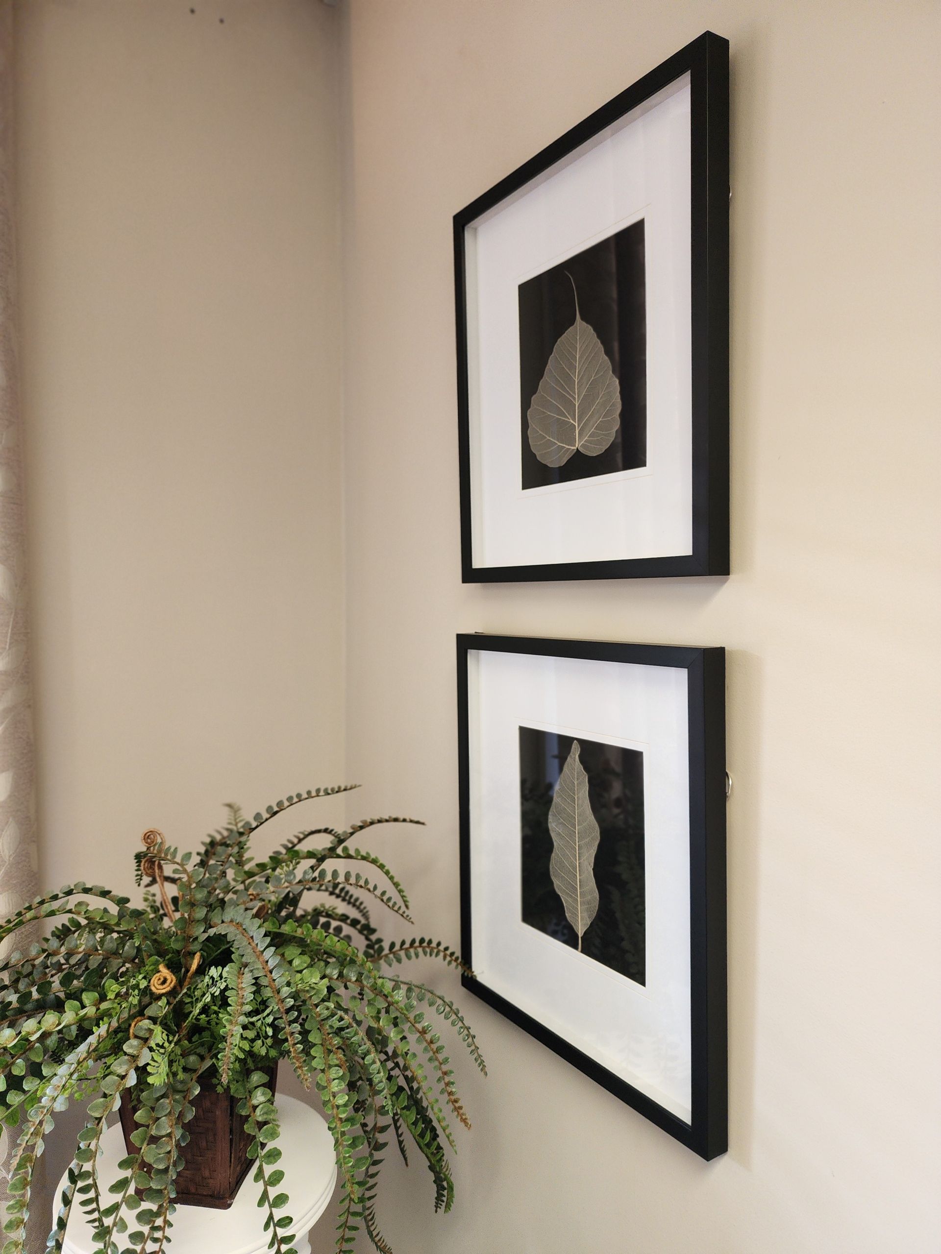 A picture of two wall hangings of leaves above a green plant