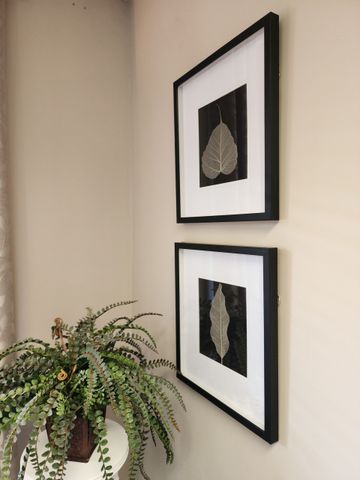 Framed leaves on wall