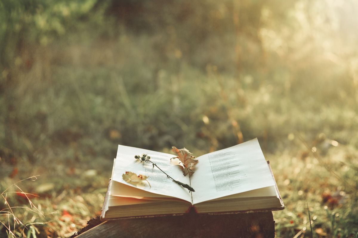 A book is sitting on top of a wooden table in the grass.